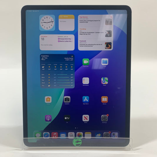 Unlocked Apple iPad Pro 12.9" 2nd Gen 512GB 18.0 Space Gray A2069